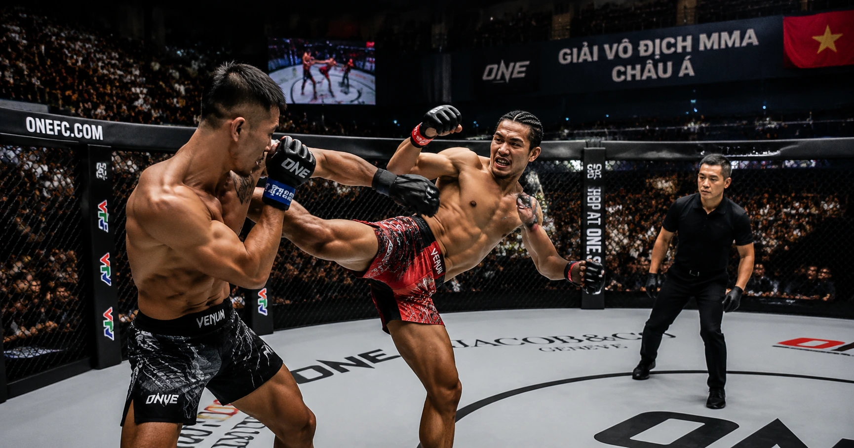 Khám phá thế giới võ: đa dạng và phong phú - image 2 Khám phá thế giới võ: đa dạng và phong phú - image 2